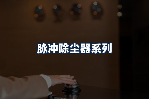脉冲除尘器展示